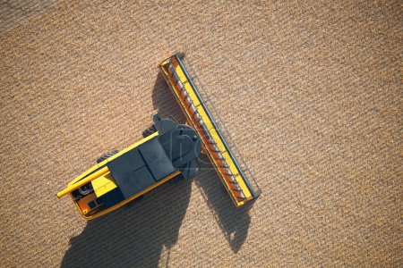 Foto de Perspectiva de un dron aéreo de una cosechadora cosechadora eficiente cortar y procesar cultivos, con la expansión dorada del campo que se extiende hasta el horizonte. - Imagen libre de derechos