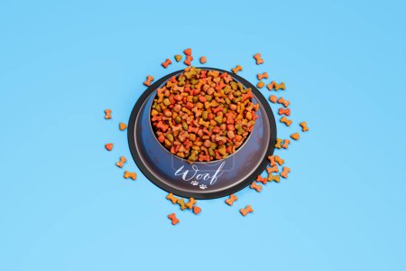 An overhead view of a pet's meal; a colorful assortment of dry dog food shaped like 'Woof' fills a bowl with extra kibble scattered on a stark blue background.