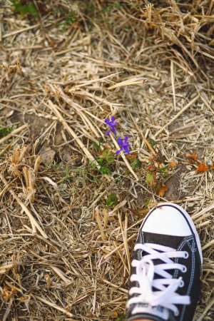 Fille pied en baskets près de fleurs d'été sur la nature. Concept pour commencer, aller, avancer, la mode. Espace de copie pour le texte