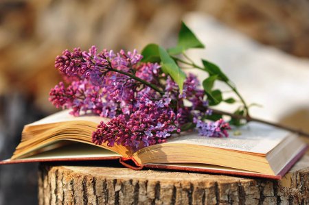 Livre de poésie et branche lilas. Composition de style vintage avec fleurs lilas et livre rétro. Belle image esthétique bonne matinée