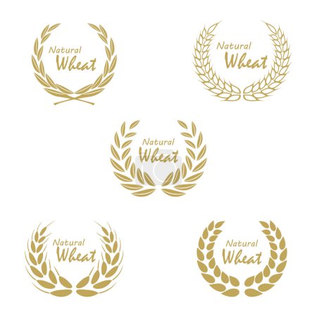 Illustration for Wheat Logo template vector illustration design - Royalty Free Image
