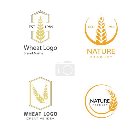 Ilustración de Agricultura trigo vector icono diseño - Imagen libre de derechos