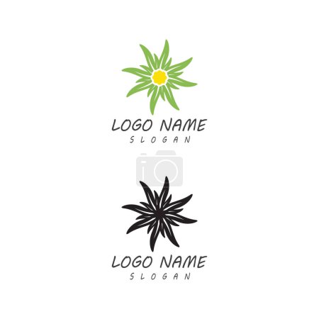 Illustration for Edelweiss Logo Template vector symbol nature - Royalty Free Image
