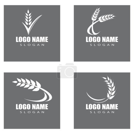 Illustration for Agriculture wheat vector icon design - Royalty Free Image