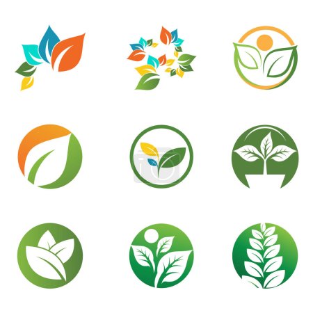 Illustration for Mint leaves flat vector color icon template illustration design - Royalty Free Image