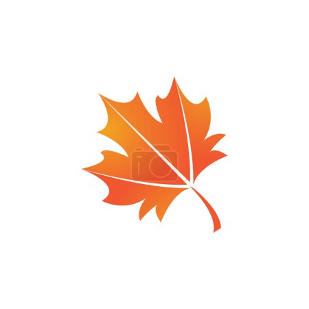 Maple leaf vector illustration design template