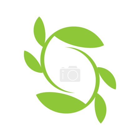 Ilustración de Hoja de Moringa Logo Plantilla vector símbolo naturaleza - Imagen libre de derechos