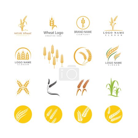 Photo for Agriculture wheat vector icon design - Royalty Free Image