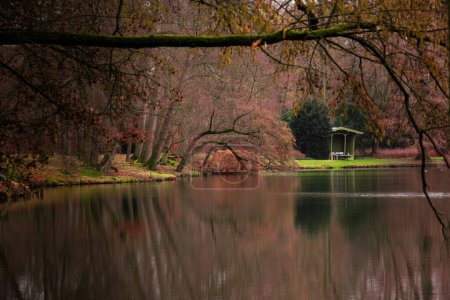 Téléchargez les photos : Une rotonde en bois, avec un toit vert, dans le parc, sur le rivage de l'étang. Photo de haute qualité - en image libre de droit