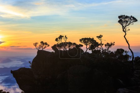Foto de Paisaje del monte Kinabalu al amanecer - Imagen libre de derechos