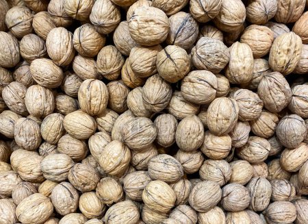 Photo for Lot of walnuts as background. Food texture concept - Royalty Free Image