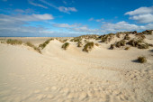 Sand dunes on the North Sea coast of Denmark on the island Romo. Stickers #648125408