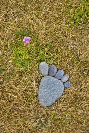 Photo for Stone foot and a flower on green grass. - Royalty Free Image