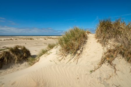Le paysage dunaire de l'île danoise de Romo