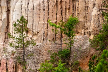 Téléchargez les photos : Providence Canyon State Park, États-Unis - en image libre de droit
