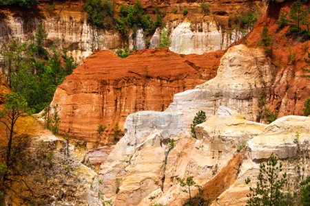 Téléchargez les photos : Providence Canyon State Park, États-Unis - en image libre de droit