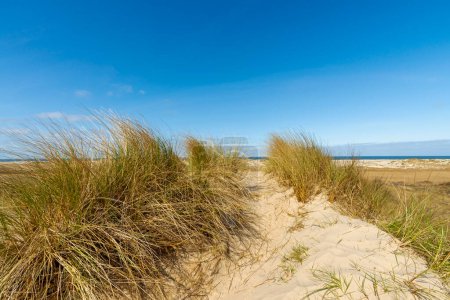 The dune landscape on the Danish island of Romo
