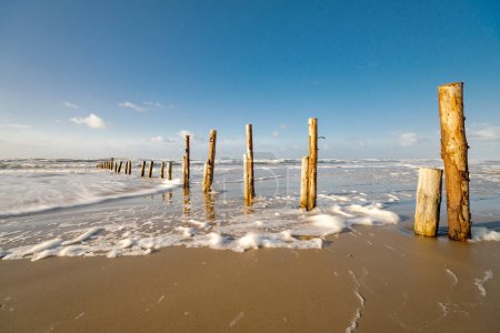 Téléchargez les photos : Breakwater - wooden posts on the North Sea beach on the Danish island of Romo - long exposure - en image libre de droit