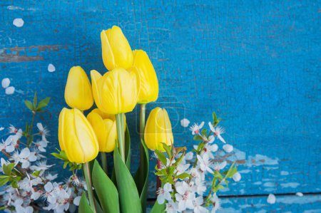 Téléchargez les photos : Yellow tulips on blue wooden background with flowering branch. Mother's Day, International Women's Da - en image libre de droit