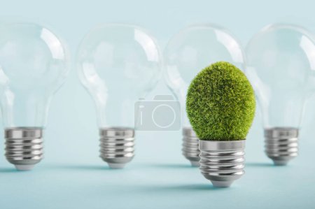 Umweltschutz, erneuerbare, nachhaltige Energiequellen. Transparente Glühbirnen mit einer anderen Idee auf grünem Hintergrund. Pflanze wächst im Zwiebelkonzept.