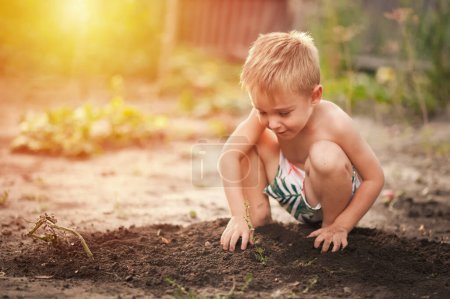 Téléchargez les photos : Jeune garçon plantation plante dans le sol - en image libre de droit