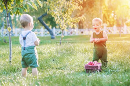 Foto de Dos niños pequeños y cosecha otoñal de manzanas. Niños niño y cesta de manzanas rojas maduras en el jardín primer plano y espacio de copia. - Imagen libre de derechos