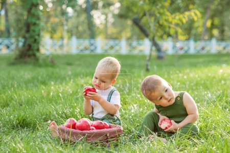 Photo for Two kids toddlers and autumn harvest of apples. Children boy and basket of ripe red apples in garden close-up and copy space. - Royalty Free Image