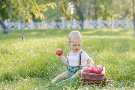 Foto de Hermoso niño y la cosecha de otoño de manzanas. Niño y cesta de manzanas rojas maduras en el jardín de cerca y espacio de copia. - Imagen libre de derechos