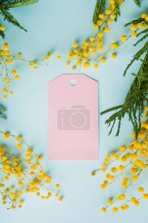 Photo for Happy Womens Day. Happy March 8 greeting card. Pink tag and mimosa branches on blue background. - Royalty Free Image