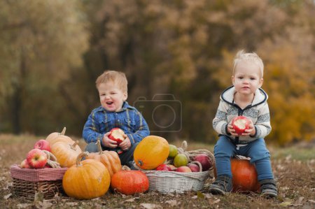 Téléchargez les photos : Beau bambin blond et récolte de citrouilles dans le verger. L'enfant mange des pommes dans la nature. - en image libre de droit