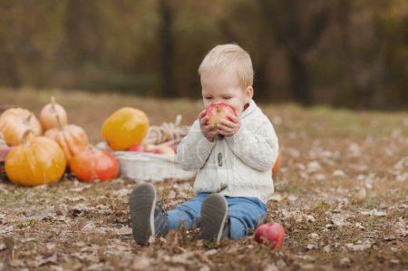 Téléchargez les photos : Beau bambin blond et récolte de citrouilles dans le verger. L'enfant mange des pommes dans la nature. - en image libre de droit