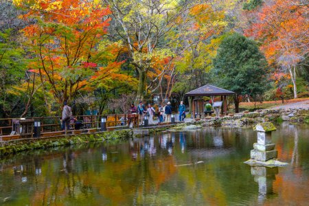 Téléchargez les photos : Miyazaki, Japon - 24 Nov 2022 : Takachiho Gorge est un gouffre étroit coupé à travers la roche par la rivière Gokase, de nombreuses activités pour les touristes tels que l'aviron et la randonnée à travers la belle nature - en image libre de droit