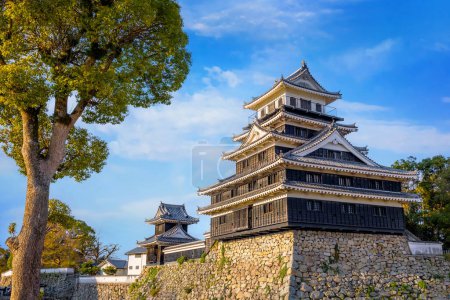 Téléchargez les photos : Château de Nakatsu connu comme l'un des trois mizujiro, ou "châteaux sur la mer", au Japon. Le château original a été détruit lors de la restauration de Meiji et reconstruit en 1964 - en image libre de droit