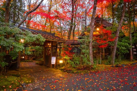 Kurokawa Onsen in Kumamoto, Japan is one of Japan's most attractive hot spring towns. The town's lanes are lined by ryokan, public bath houses, attractive shops and cafes