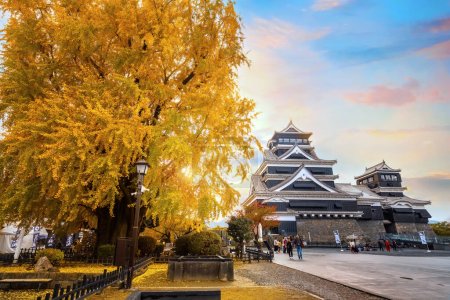 Foto de Kumamoto, Japón - 23 nov 2022: La historia del castillo de Kumamoto data de 1467. En 2006, el castillo de Kumamoto fue catalogado como uno de los 100 castillos finos de Japón por la Fundación Castillo de Japón - Imagen libre de derechos