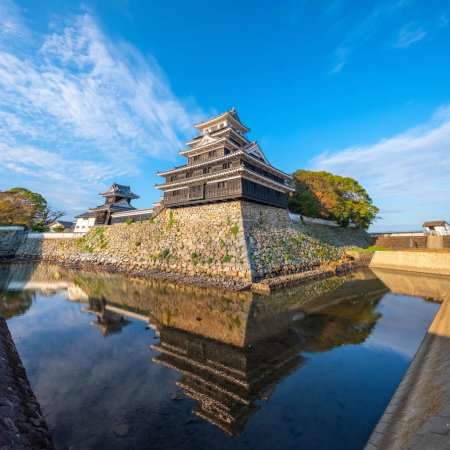 Téléchargez les photos : Château de Nakatsu connu comme l'un des trois mizujiro, ou "châteaux sur la mer", au Japon. Le château original a été détruit lors de la restauration de Meiji et reconstruit en 1964 - en image libre de droit
