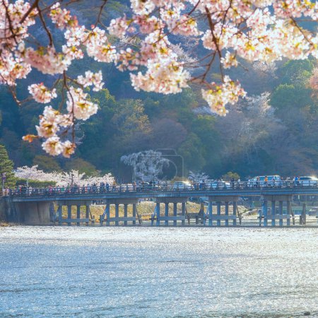 Photo for Togetsukyo bridge that crosses the Katsura River in Kyoto, Japan with scenic full bloom cherry blossom in spring - Royalty Free Image