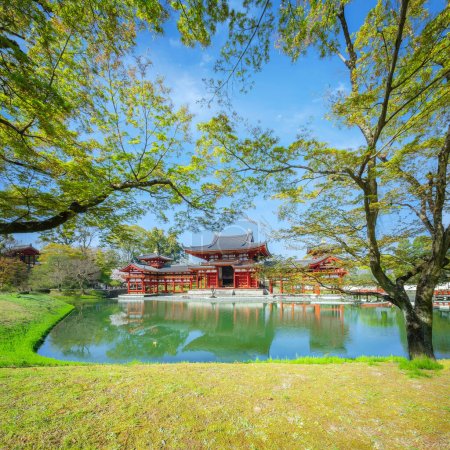 Photo for The Phoenix Hall of Byodo-in Temple in Kyoto, Japan during full bloom cherry blossom in spring - Royalty Free Image