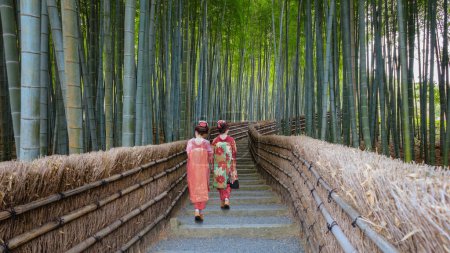 Téléchargez les photos : Jeune geisha japonaise et le bosquet de bambous au temple Adashino Nenbutsuji à Kyoto, Japon - en image libre de droit