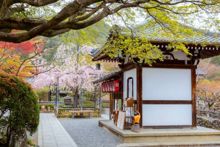 Téléchargez les photos : Temple Adashino Nenbutsuji fondé en 811 situé sur une colline et légèrement éloigné de la principale zone touristique d'Arashiyama, Kyoto, Japon - en image libre de droit
