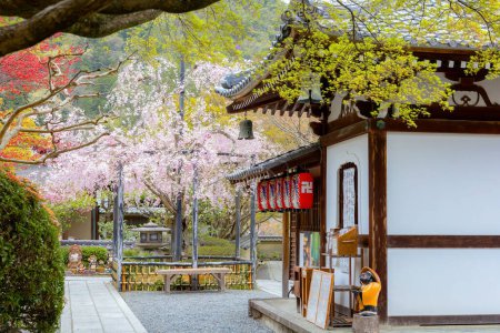 Téléchargez les photos : Temple Adashino Nenbutsuji à Kyoto, Japon fondé en 811 situé sur une colline et légèrement éloigné de la principale zone touristique d'Arashiyama - en image libre de droit