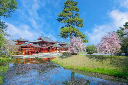 Photo for The Phoenix Hall of Byodo-in Temple in Kyoto, Japan with full bloom cherry blossom - Royalty Free Image