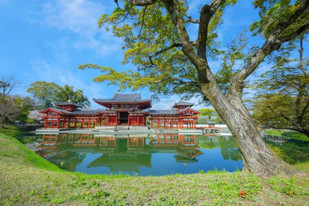 Photo for The Phoenix Hall of Byodo-in Temple in Kyoto, Japan with full bloom cherry blossom - Royalty Free Image