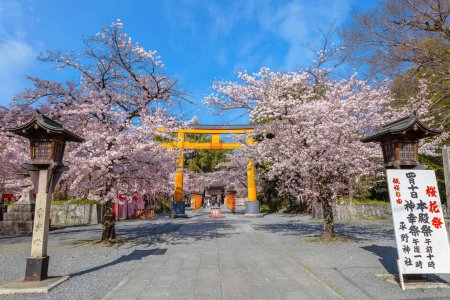 Photo for Hirano-jinja is the site of a cherry blossom festival annually since 985 during the reign of Emperor Kazan, and it has become the oldest regularly held festival in Kyoto - Royalty Free Image