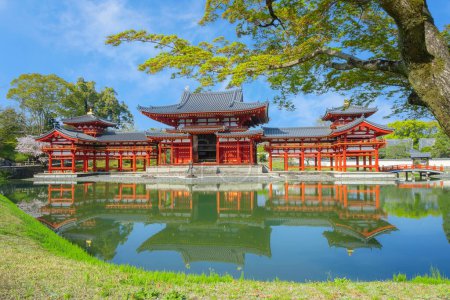 Téléchargez les photos : La salle Phoenix du temple Byodo-in à Kyoto, au Japon, avec une fleur de cerisier pleine floraison au printemps - en image libre de droit