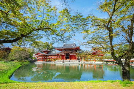 Photo for The Phoenix Hall of Byodo-in Temple in Kyoto, Japan with full bloom cherry blossom in spring - Royalty Free Image
