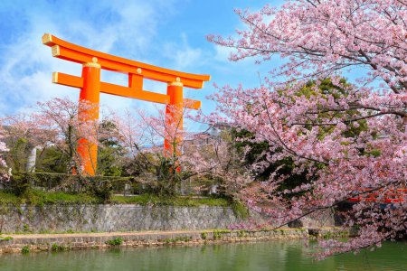 Téléchargez les photos : La gigantesque grande porte Torii du sanctuaire Heian Jingu pendant la floraison complète des cerisiers à Kyoto, Japon - en image libre de droit