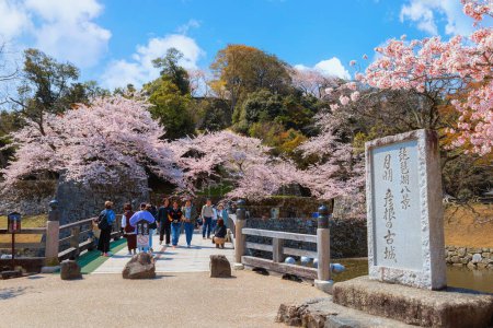 Photo for Shiga, Japan - April 3 2023: Hikone Castle completed in 1622, a magnificent 400 year old structure. It stands 3 stories tall, served as seat of feudal lords until the end of feudal age in 1868 - Royalty Free Image