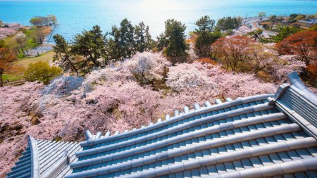 Photo for View from Nagahama Castle n Shiga, Japan - Royalty Free Image