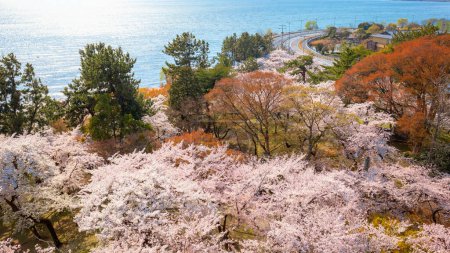 Photo for View from Nagahama Castle n Shiga, Japan - Royalty Free Image